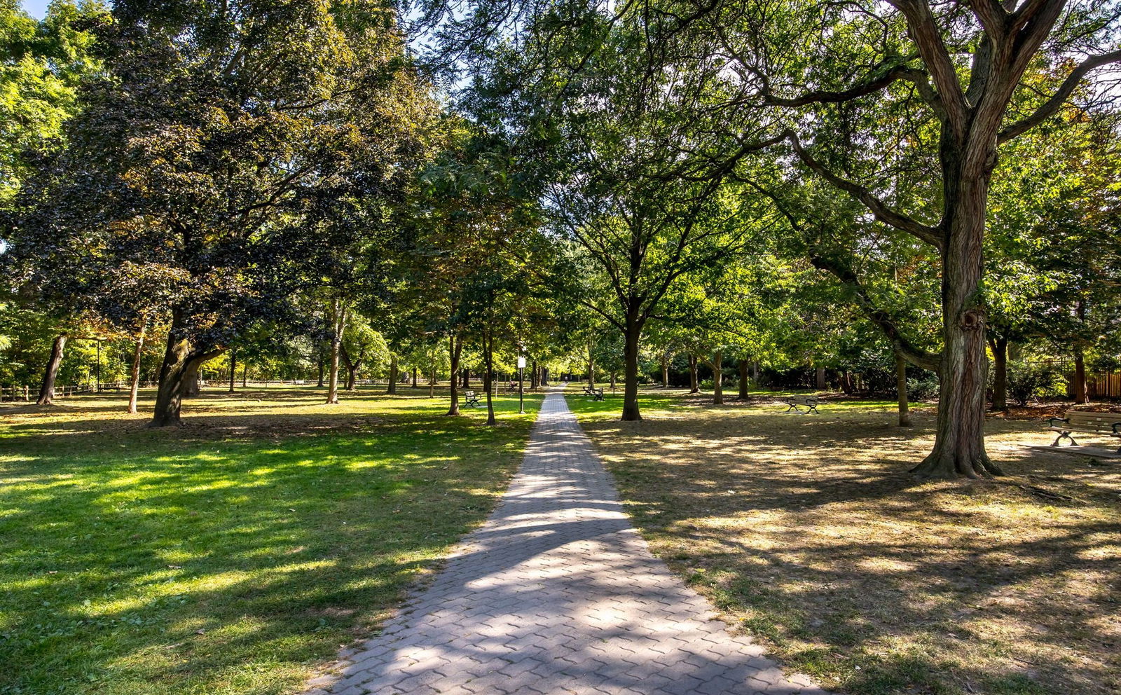 Park — 149 South Drive, Midtown, Toronto