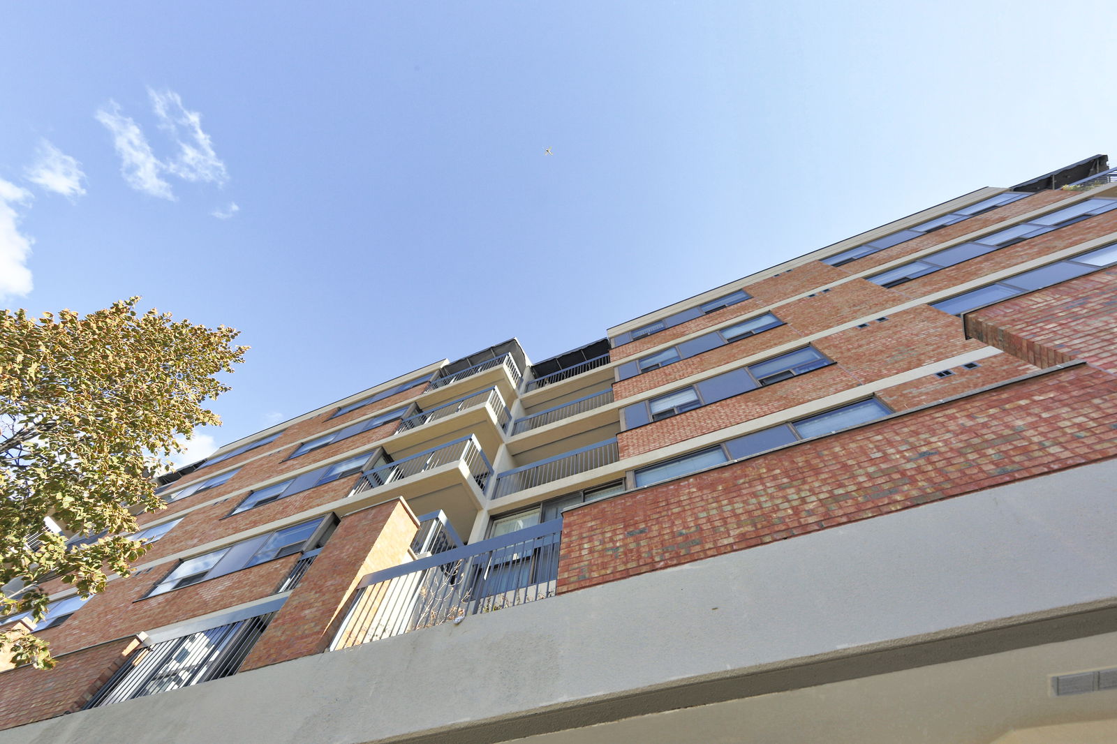 Exterior Sky — Village by the Grange & Grangetown Lofts, Downtown, Toronto