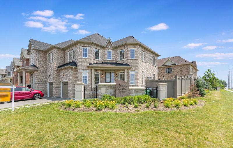 The Ravines of Credit Woods