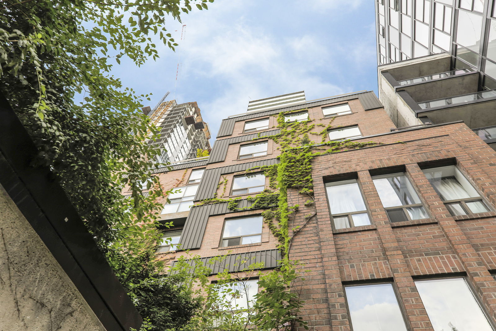 Exterior Sky — Terrace Court, Downtown, Toronto