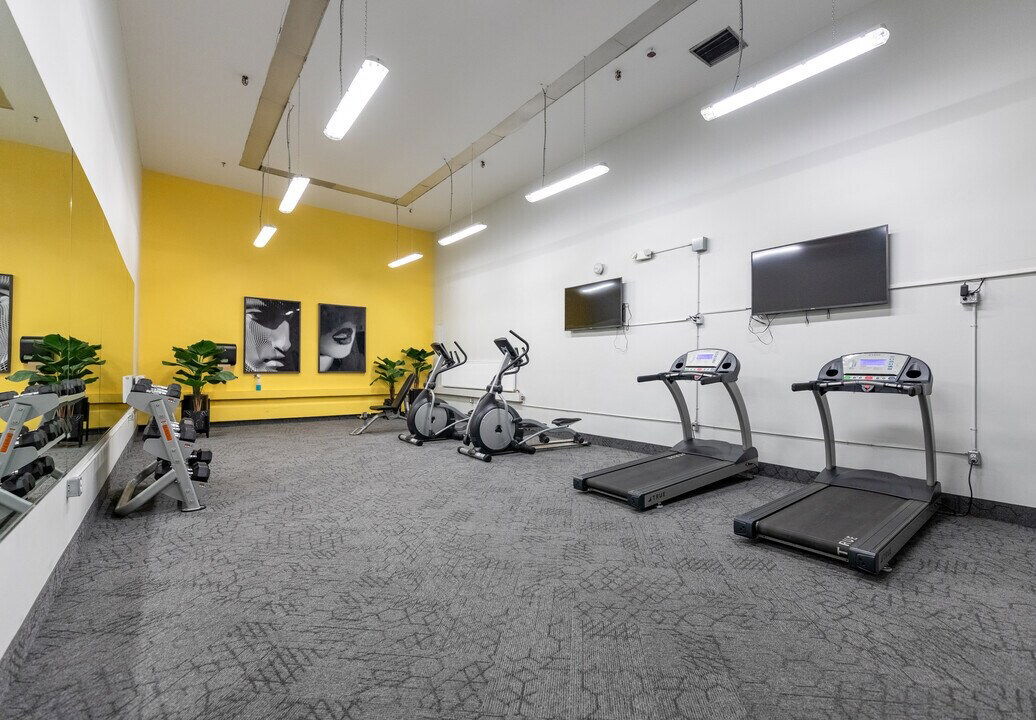 Gym — 75 Eastdale Avenue, East York, Toronto