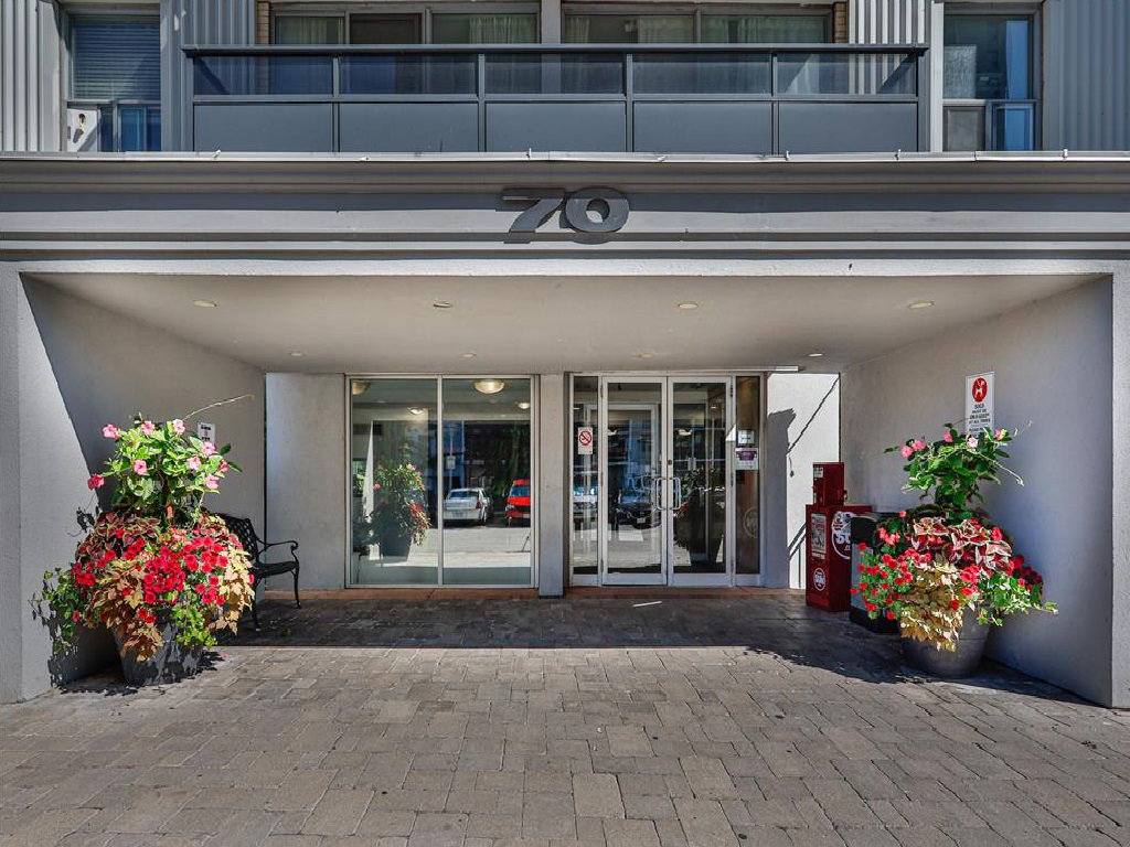 50 Cambridge Ave, Rosedale East, Entrance