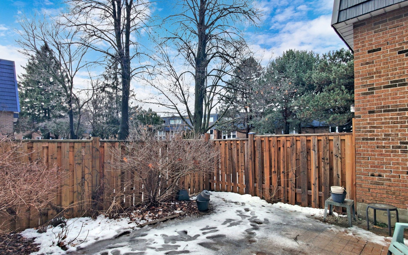 Patio — 193 McNicoll Avenue, North York, Toronto