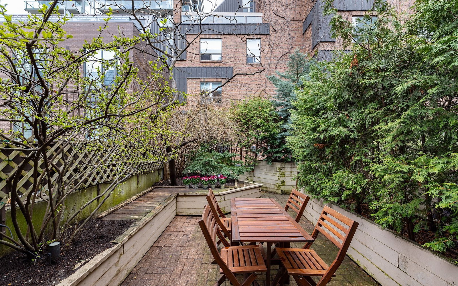 29A Dundonald St, 29a Dundonald Street, Patio