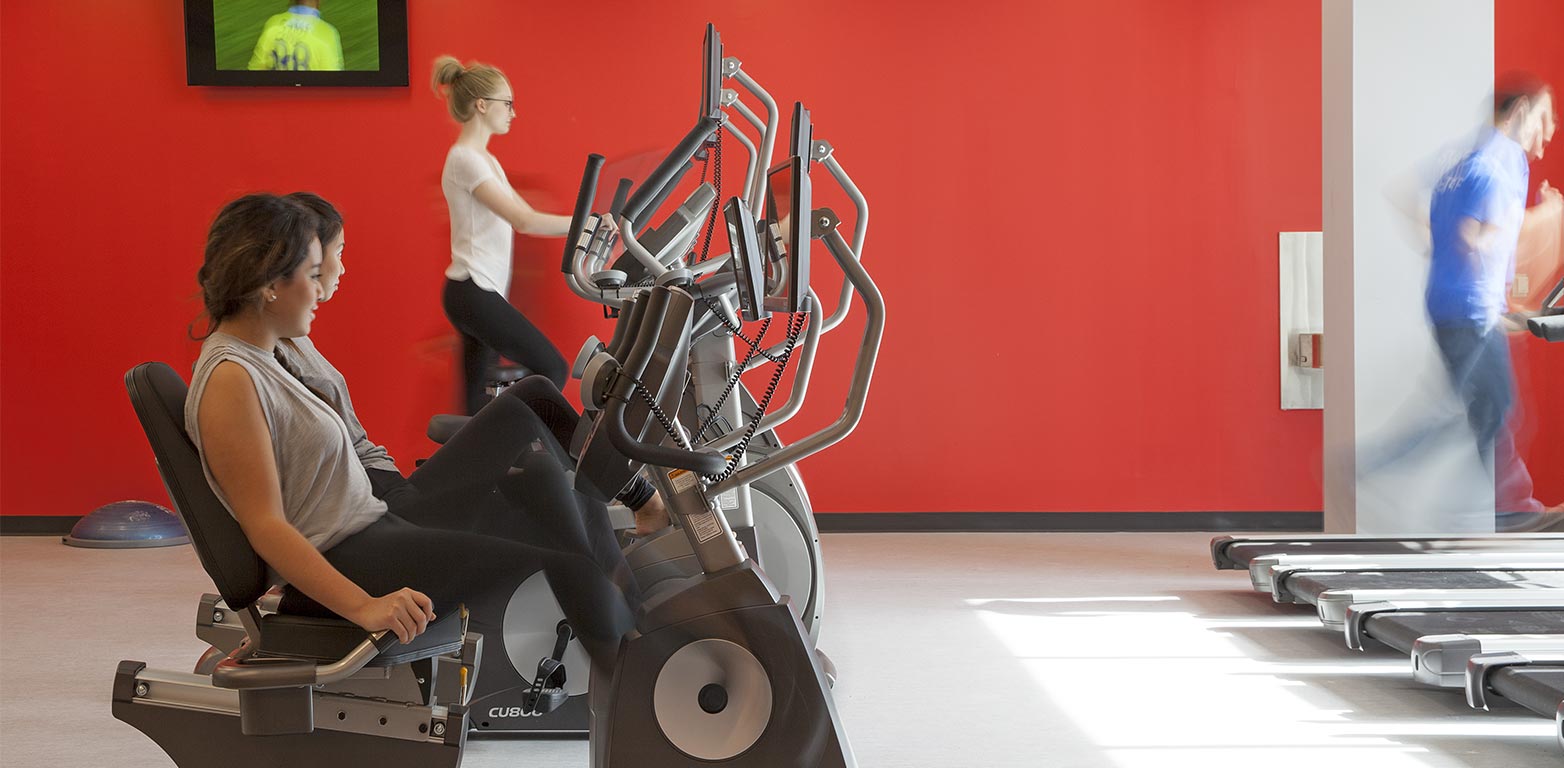 111 Carlton St, Parkside, Gym