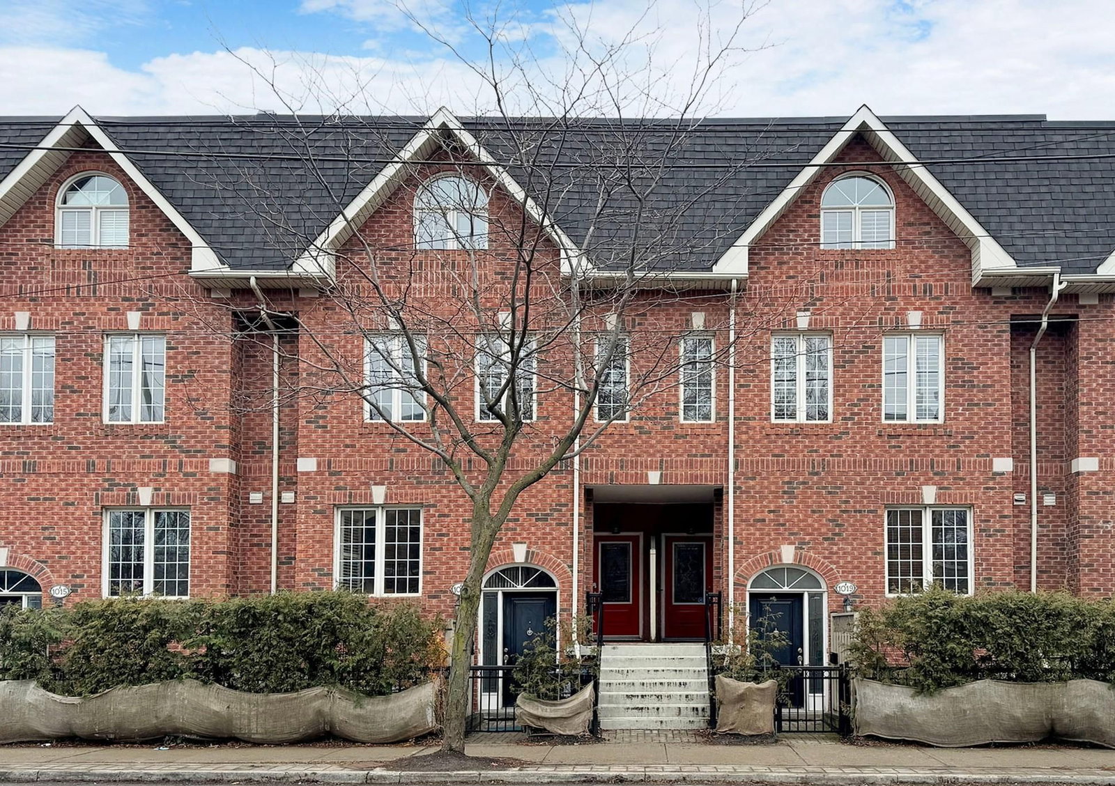 1017B College St, 1017b College Street