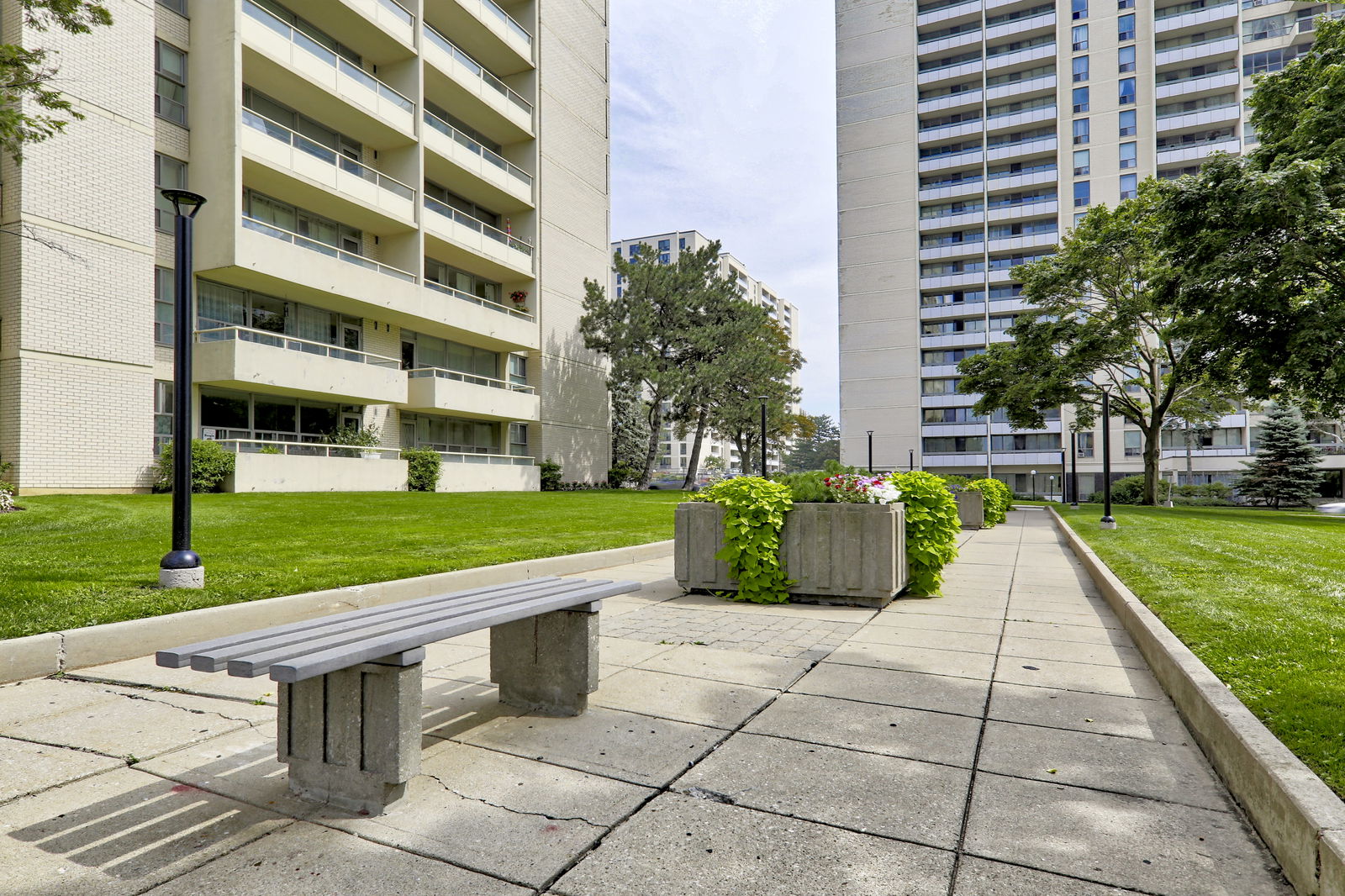 Patio — The Allenway, York Crosstown, Toronto